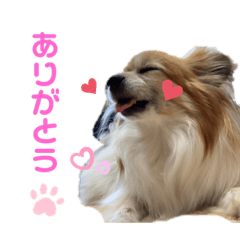 OMOCHI_20230925000254