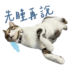 莫莫の人士