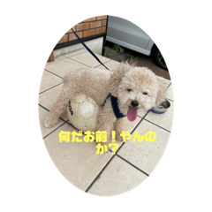 nao_20230924233015