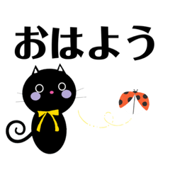 tama-mi_20230925084816