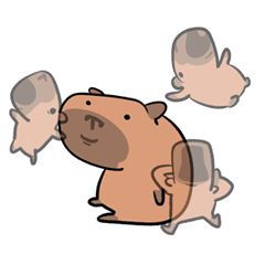 The little capybara moves