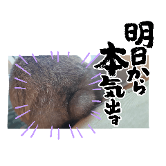 hana_20230925172557