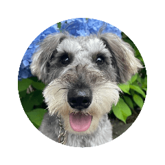 kaimomo_20230926074359