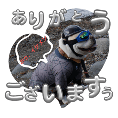 CREAM_20230925151040