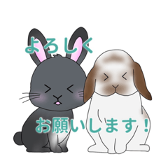 omochi_20230925232020