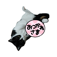 yuka_20230925213323