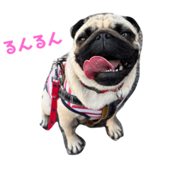 hana_20230926034441