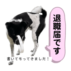 yupu_20230925175149