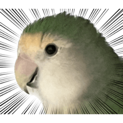 kana_20230925204213