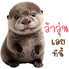 Otter So Cute (Mini)