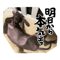 HANA_20230926121632
