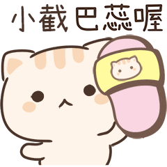 小星貓姓名貼_小截專用