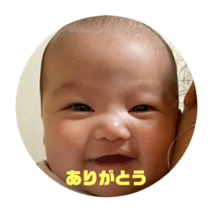 kinokko_20230925231032
