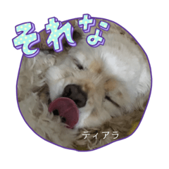 tono.co_20230926104600