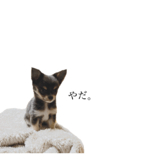 hamko_20230926155738