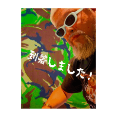 mikazuki330106_20230926143836