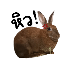 backtosep_20230926185413