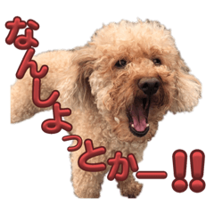 hana_20230926204405