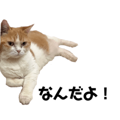 okomesuki_20230926192926