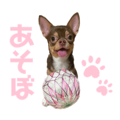monaka_20230926200001