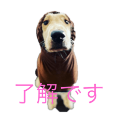 kana_20230926194023