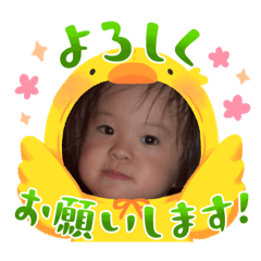 Lines_20230926194608