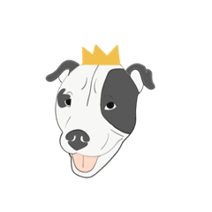 Paopa3orever_20230927005210