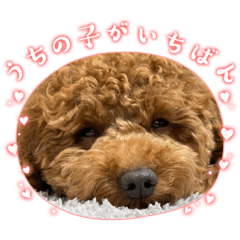 Sakura_20230927082238