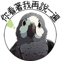 Little Grey Parrot (Chinese)