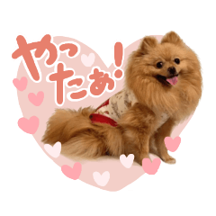 Rikumama_20230926112628