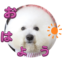 SUNNY_20230927014418