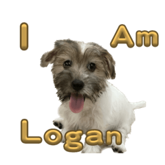 Logan aka 肉羹