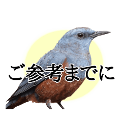 Business Birds Sticker