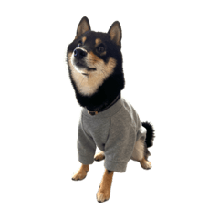 itkn_20230927084223