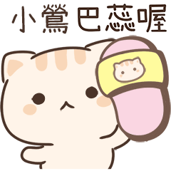 小星貓姓名貼_小鶯專用