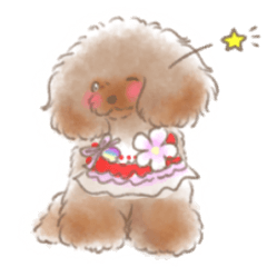 Toy poodle melody part2