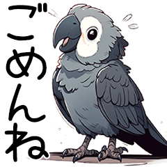 Little Grey Parrot (Japanese)