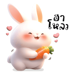 Bunny Bunny Chubby Cute