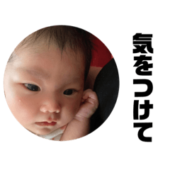 sakura_20230927142109