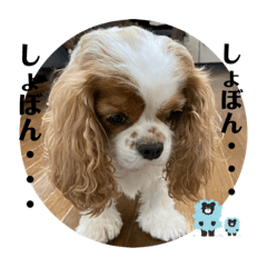 tono.co_20230927151400
