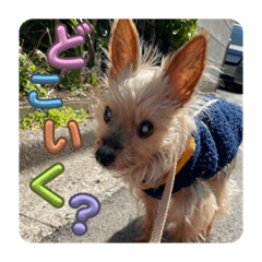 Nozomi_20230928015914