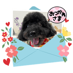 SAYURI_20230927202416