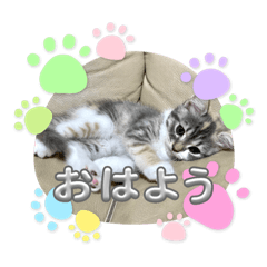kana_20230927203318