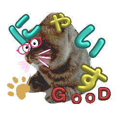 roko_20230928010835nya