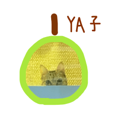 Twoo cats