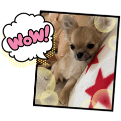 nao_20230928130628