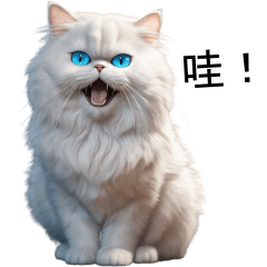 Cat White Cute TuaTueng (TWN)