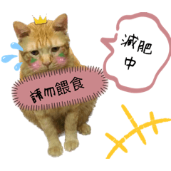 貓09/28