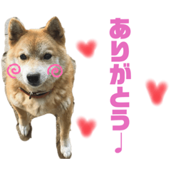 chisa_20230928200450