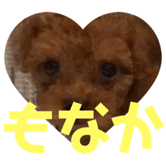 可愛いもなかの日常